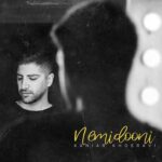 دانلود آهنگ جدید زانیار خسروی نمیدونی